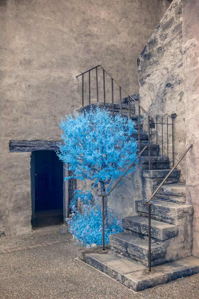 _DSC8193_Profile_BlueHue_dw.jpg