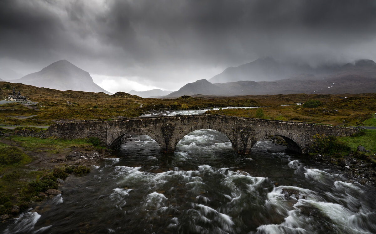 _DSC8309-1 copy (1).jpg