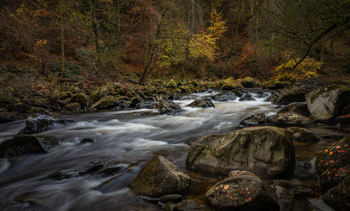 _DSC8340-1 copy.jpg