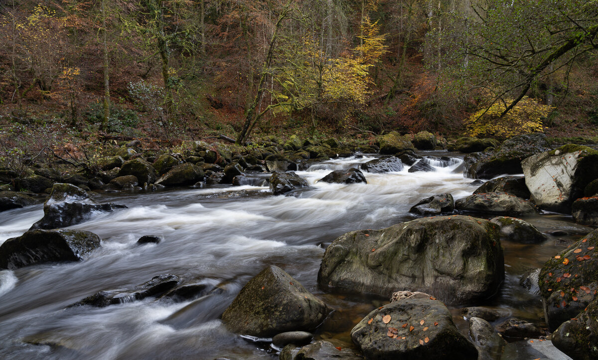 _DSC8340 copy-1 natural.jpg