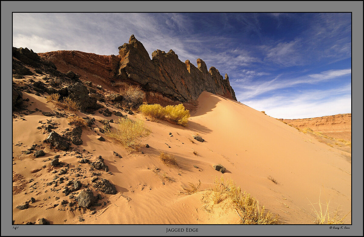 _DSC8388-X2.jpg