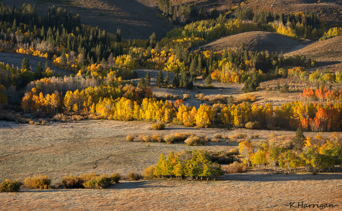 _DSC8465-sharpened copy.jpg