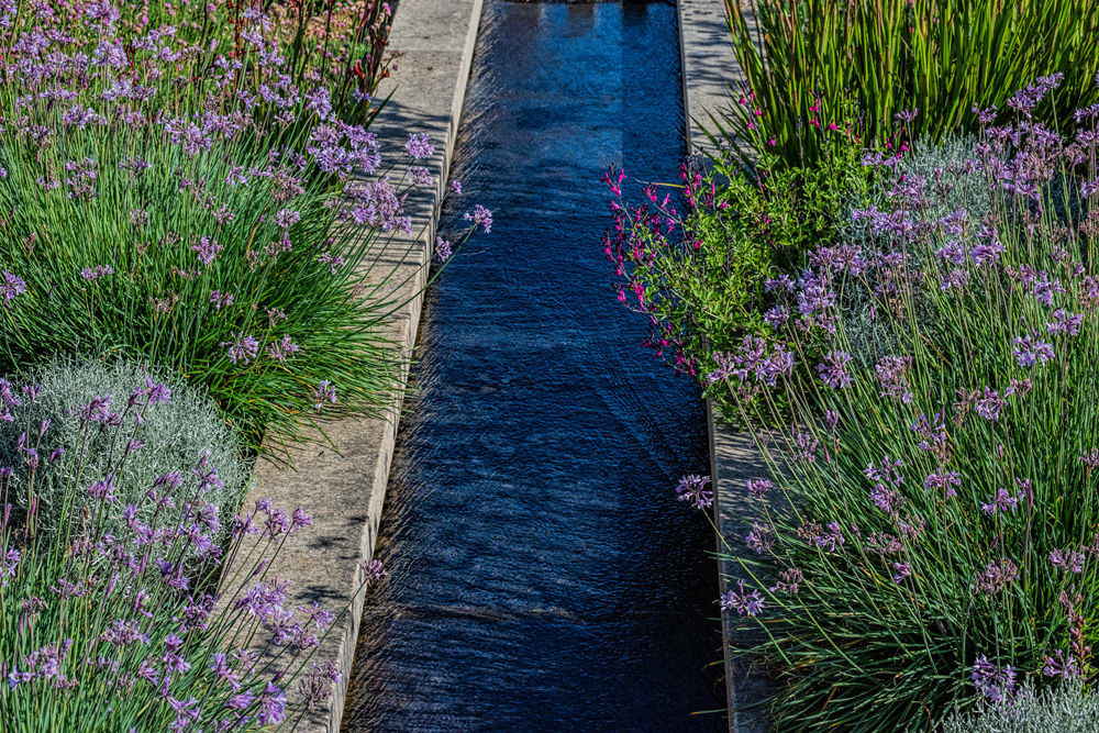 _DSC8536_dw.jpg