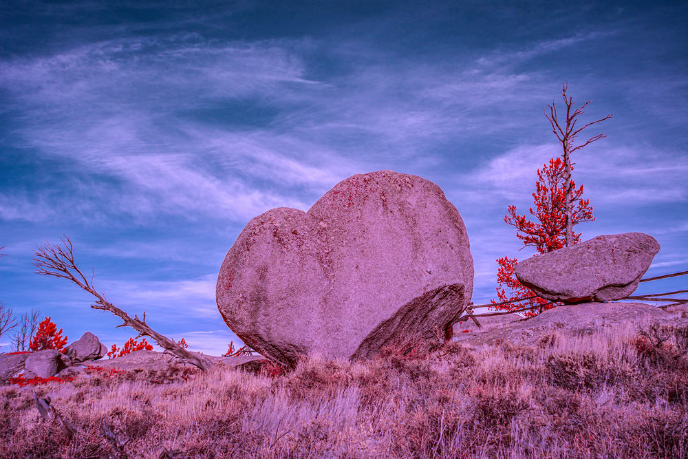 _DSC8544_WBbox_NR_dw.jpg