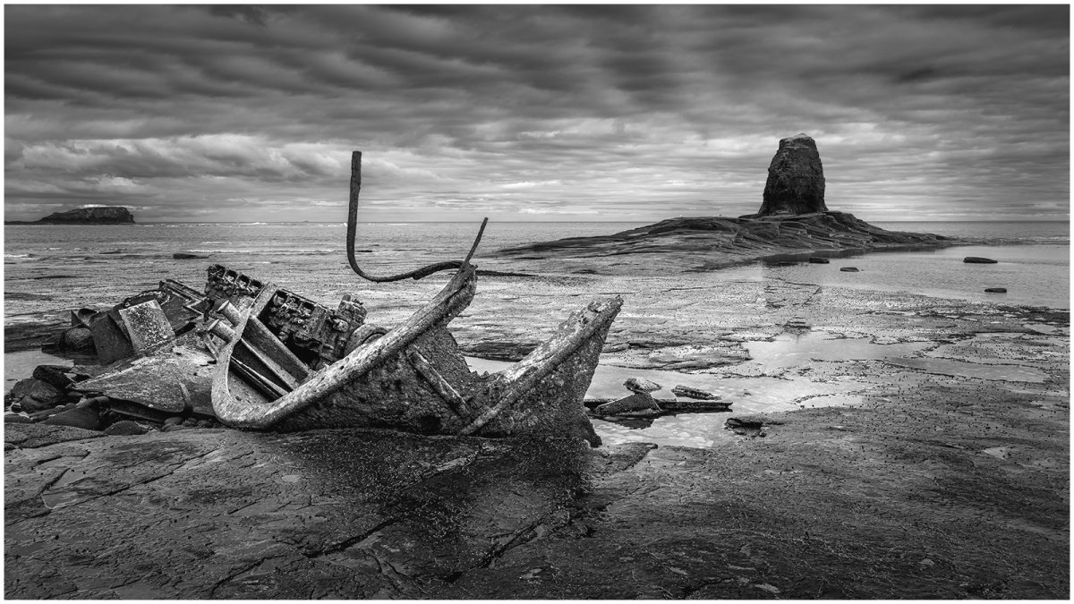 _DSC8719-3 mono 1600.jpg