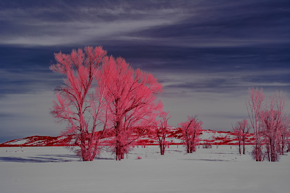_DSC9084_WB2_Aerochrome_d1w.jpg