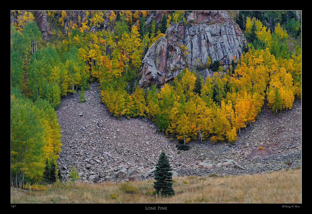 _DSC9181-X2.jpg