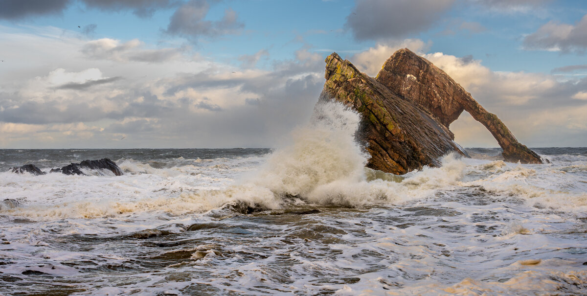 _DSC9216-3 copy.jpg