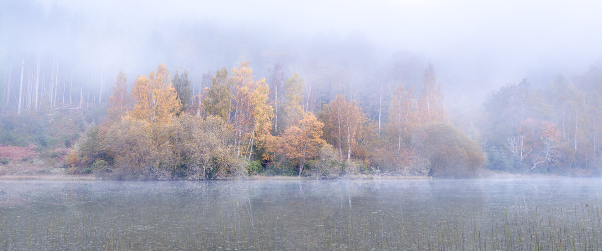 _DSC9503-2 more oomph copy.jpg