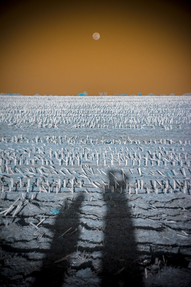 _DSC9633_WBbox_dw.jpg