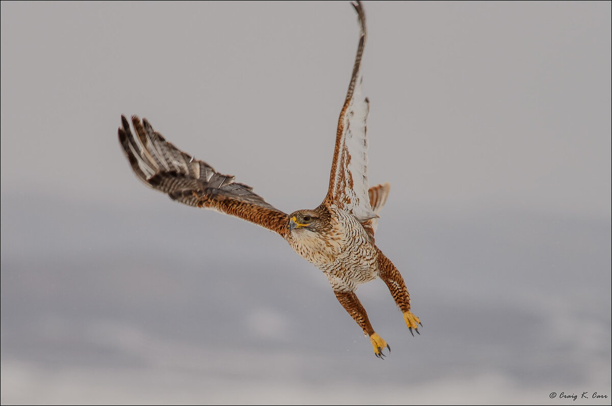 _DSC9786 as Smart Object-1-X2.jpg