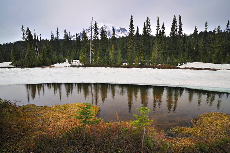 _DSC9994_d1w.jpg