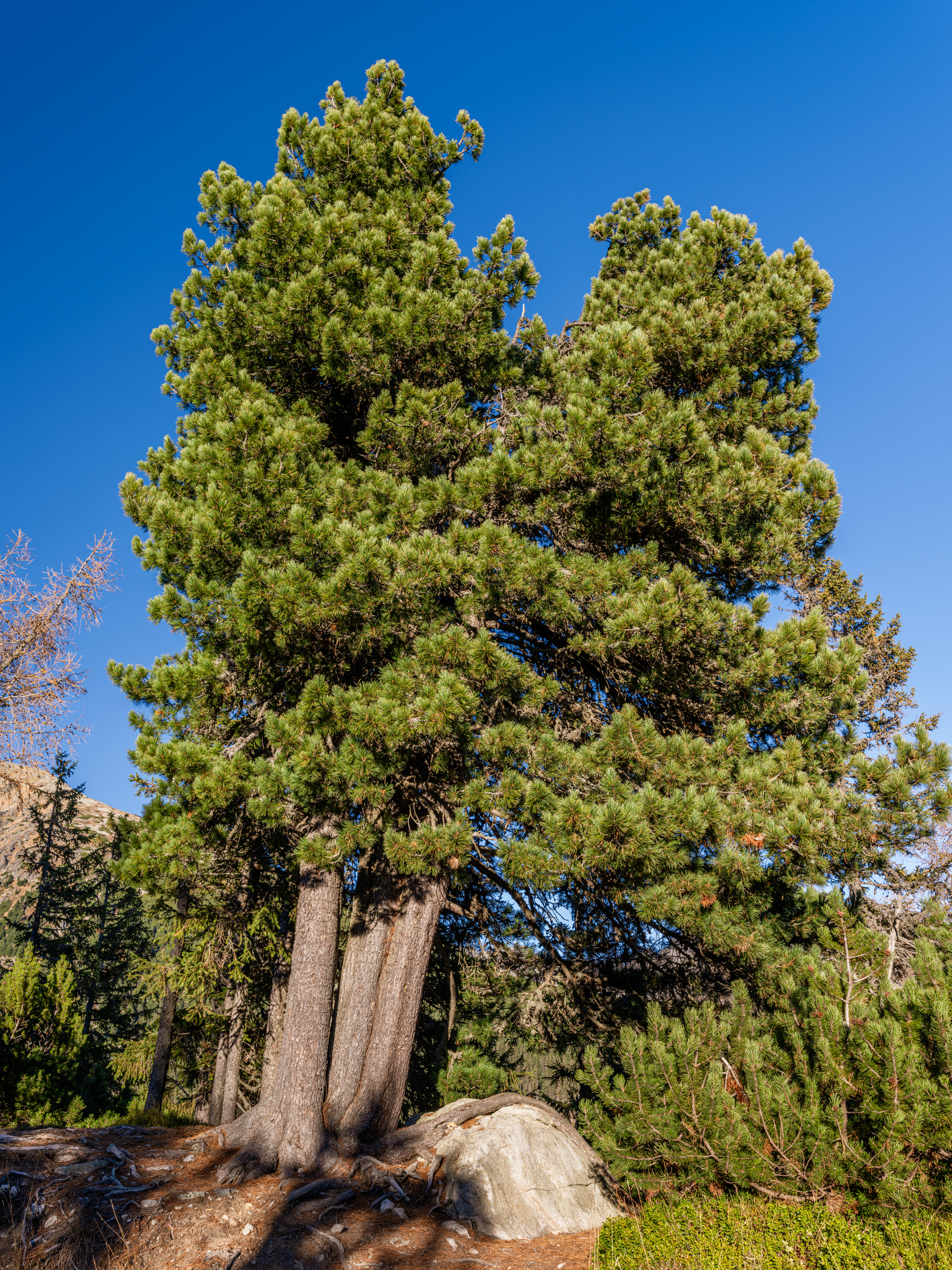 _DSF3188 – Landscape Photo kopie.jpg