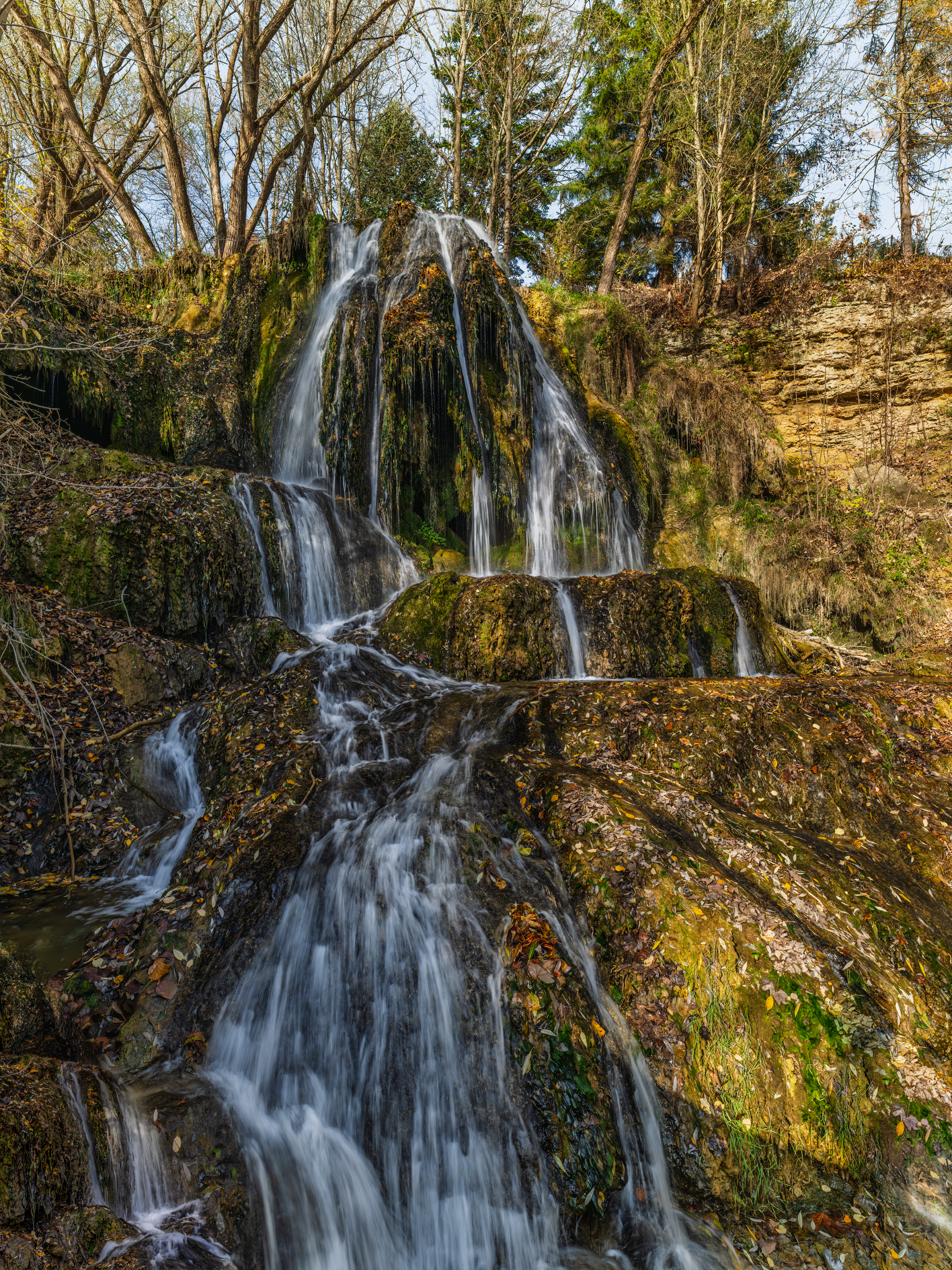 _DSF3194 – Adaptive 85 Photo kopie.jpg