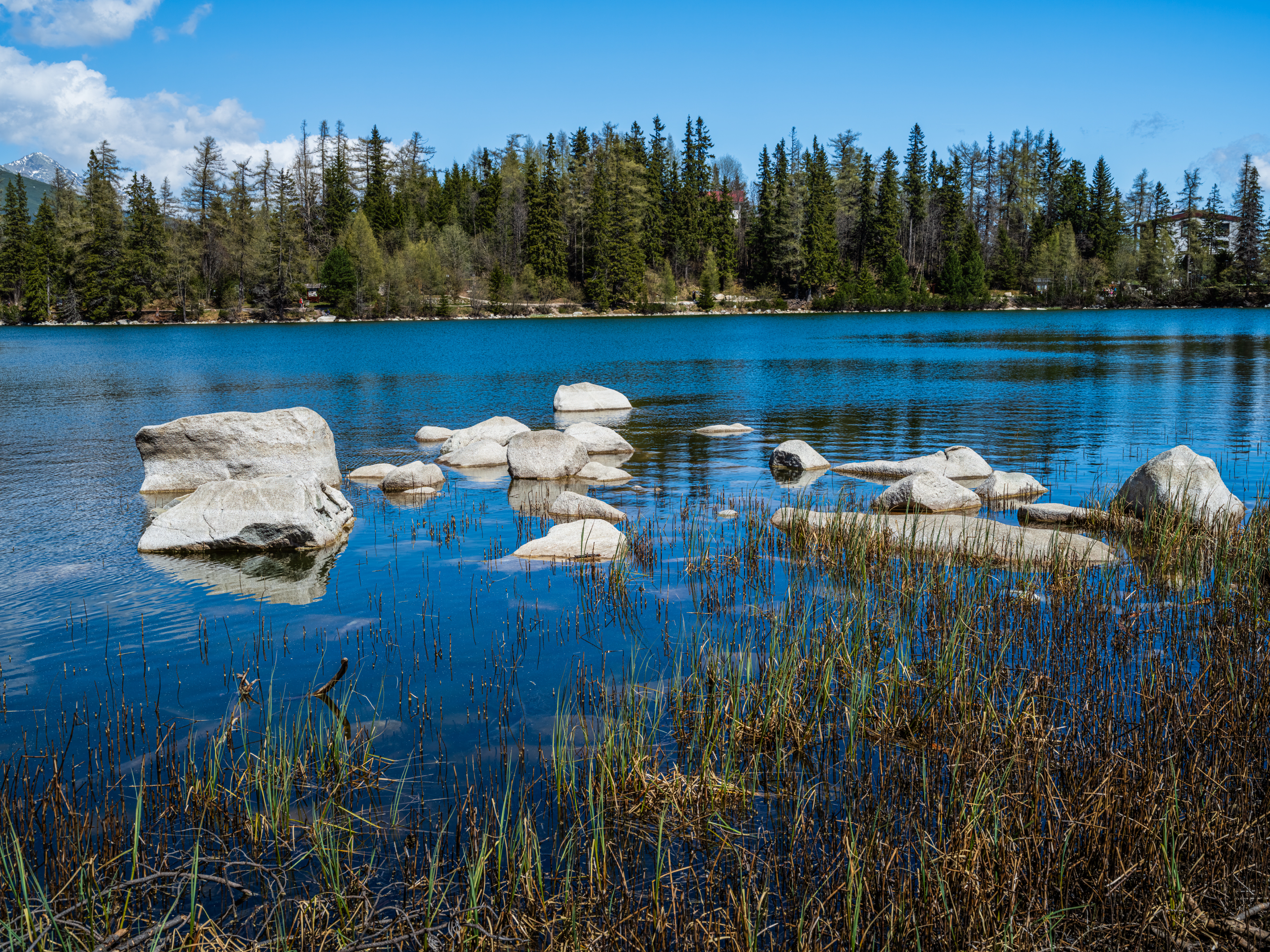 _DSF3399-Landscape copy.jpg