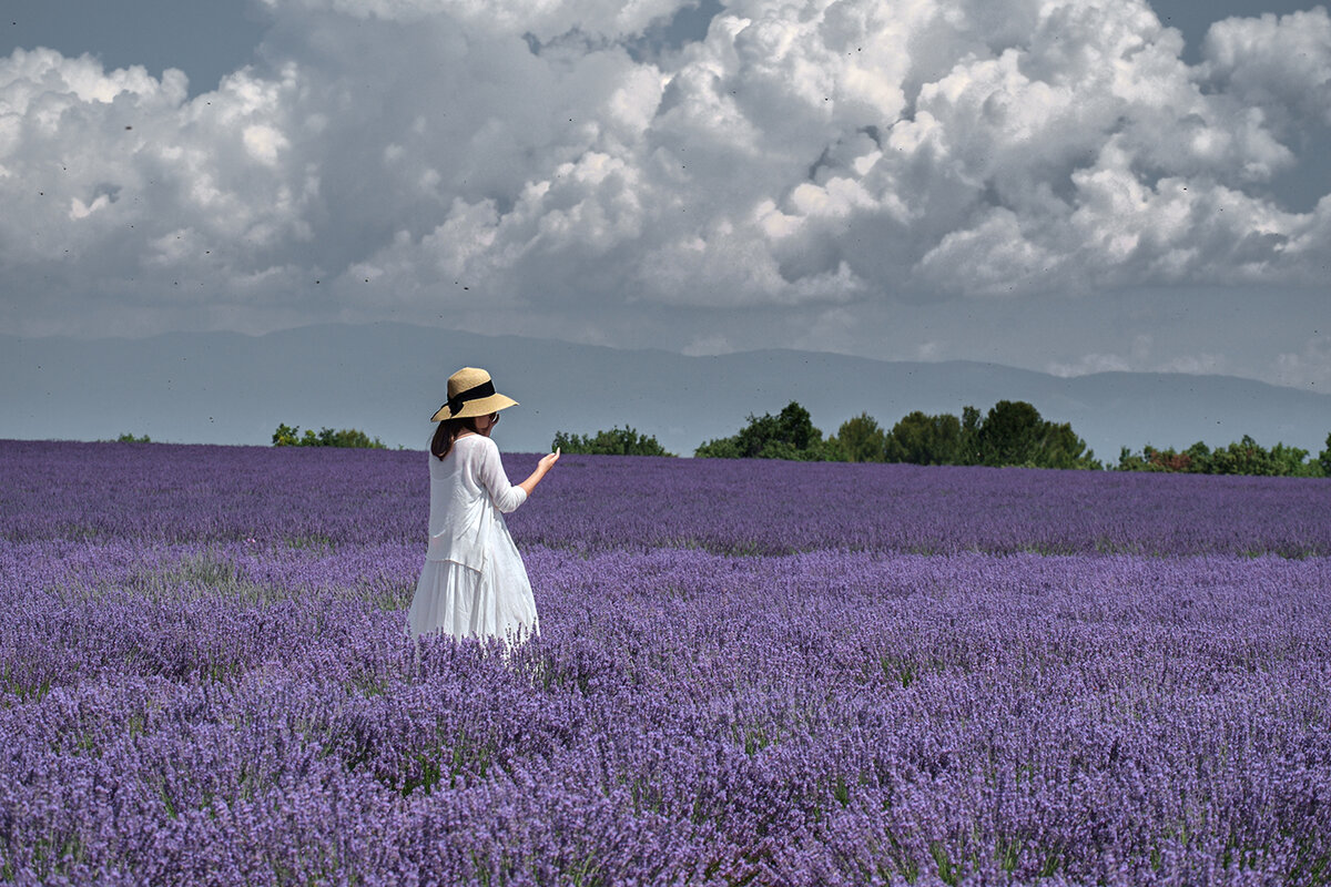 _DSF8465 as Smart Object-1.jpg