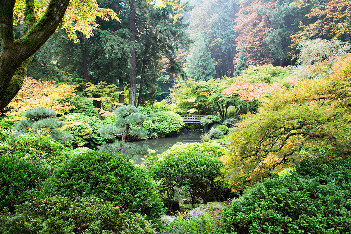 _MG_0779 (1) ben.jpg