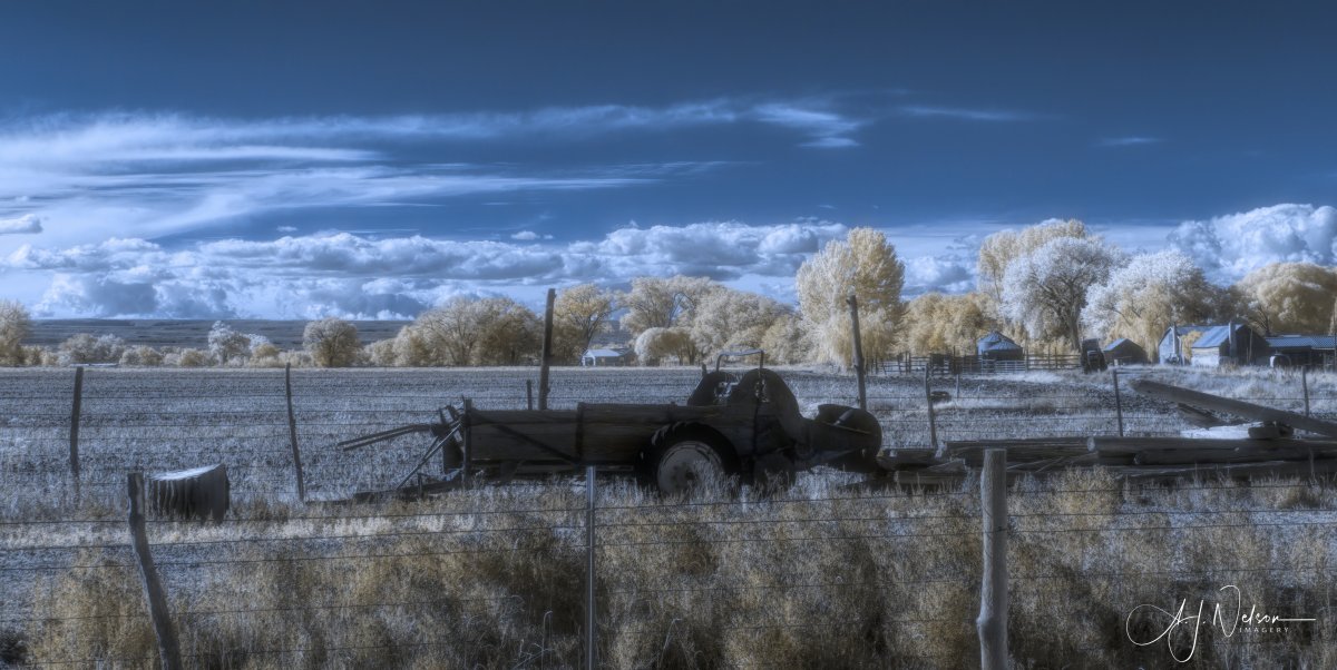 _MG_5183-1-Edit.jpeg