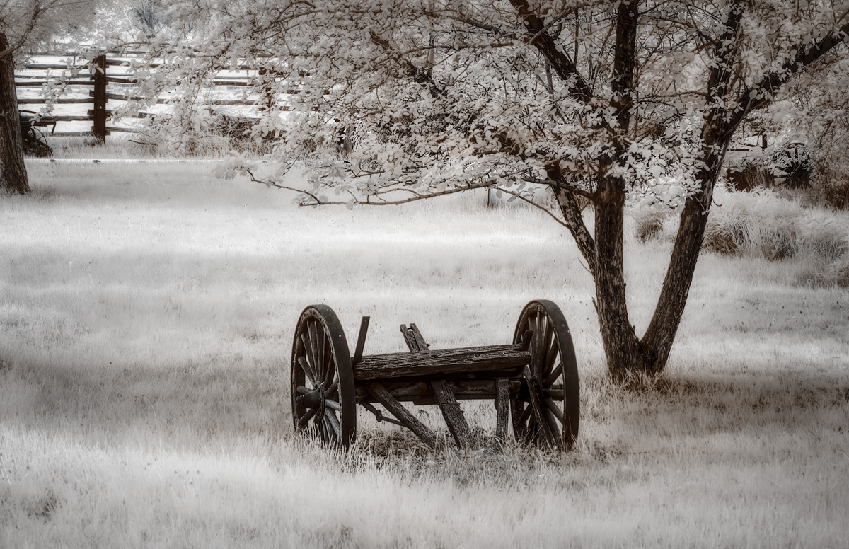 _MG_8010-Edit-copy.jpg