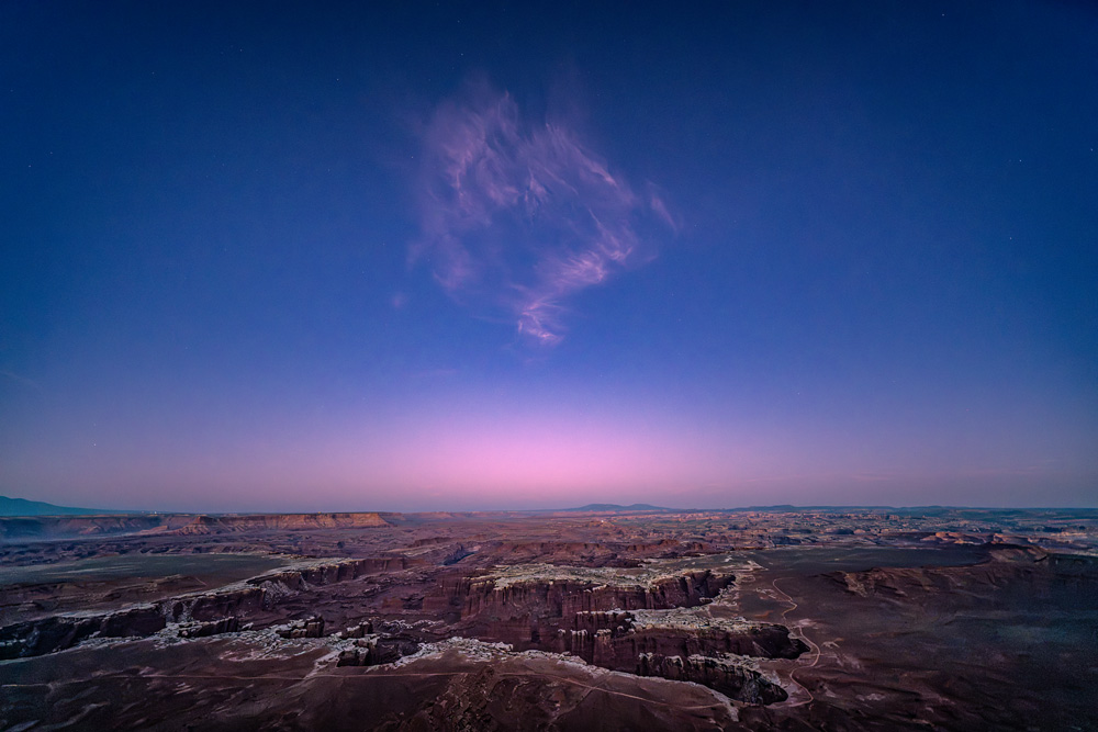 _NZ80441_dw.jpg