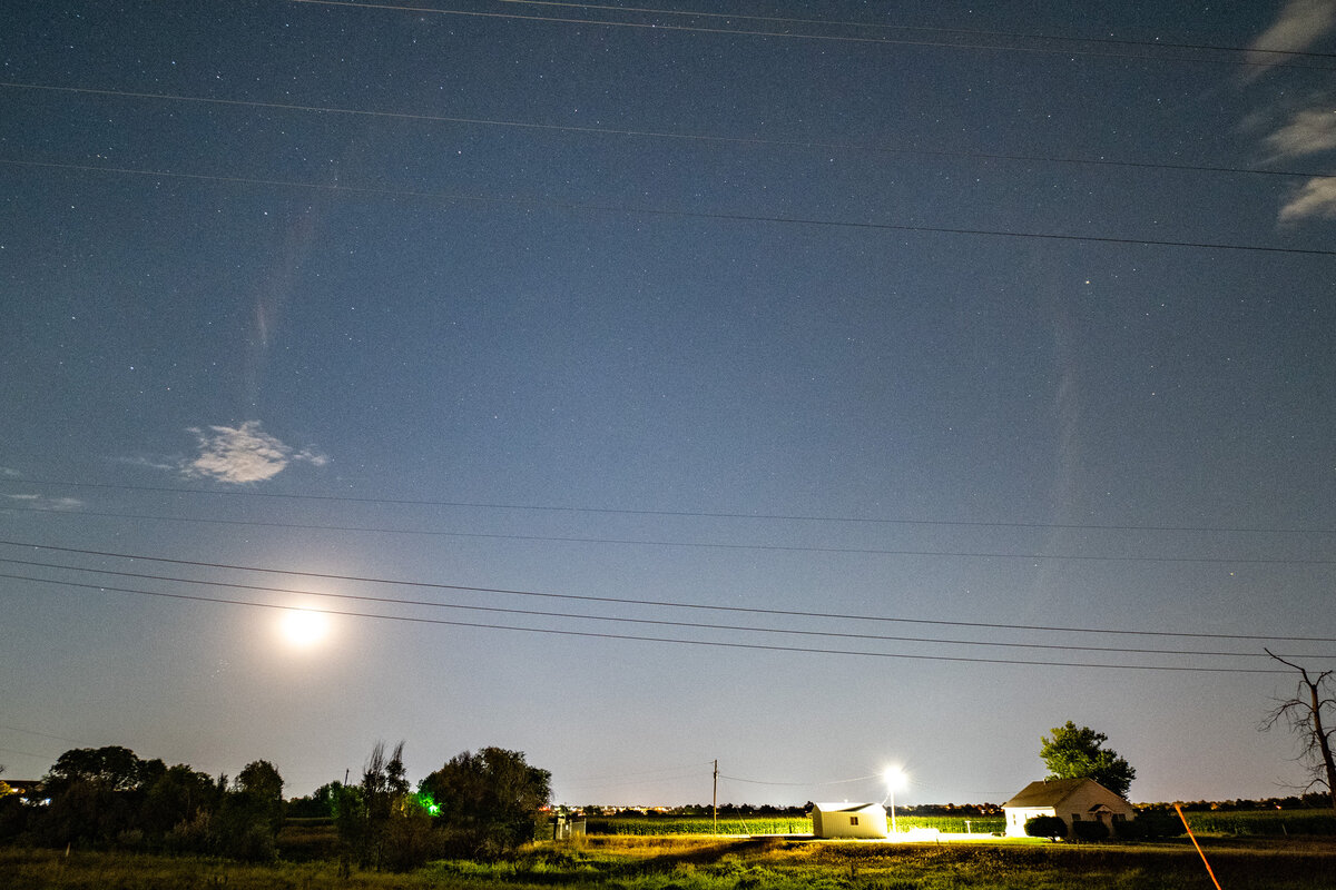 _NZ83416_Crop_dpw.jpg