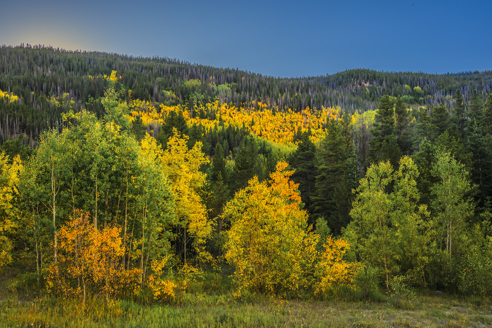 First Fall Colors! | Focal World