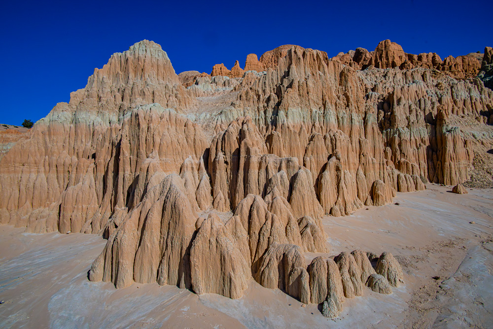 _NZ85887_dw.jpg