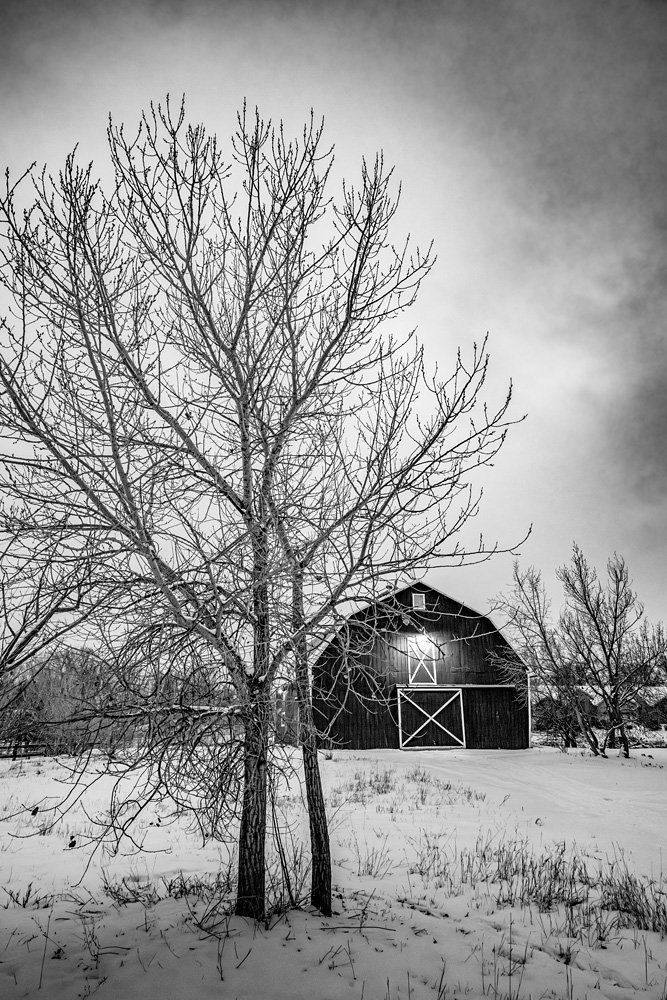 _NZ86060_BW_dw.jpg
