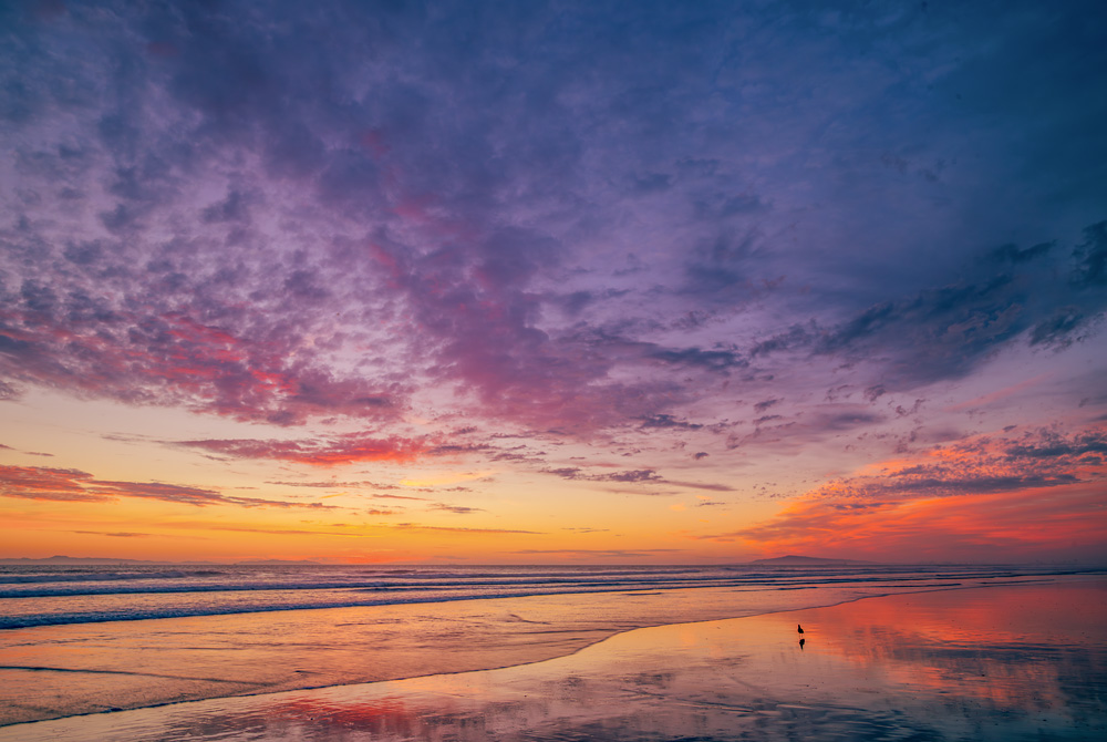 _NZ87311_dw.jpg
