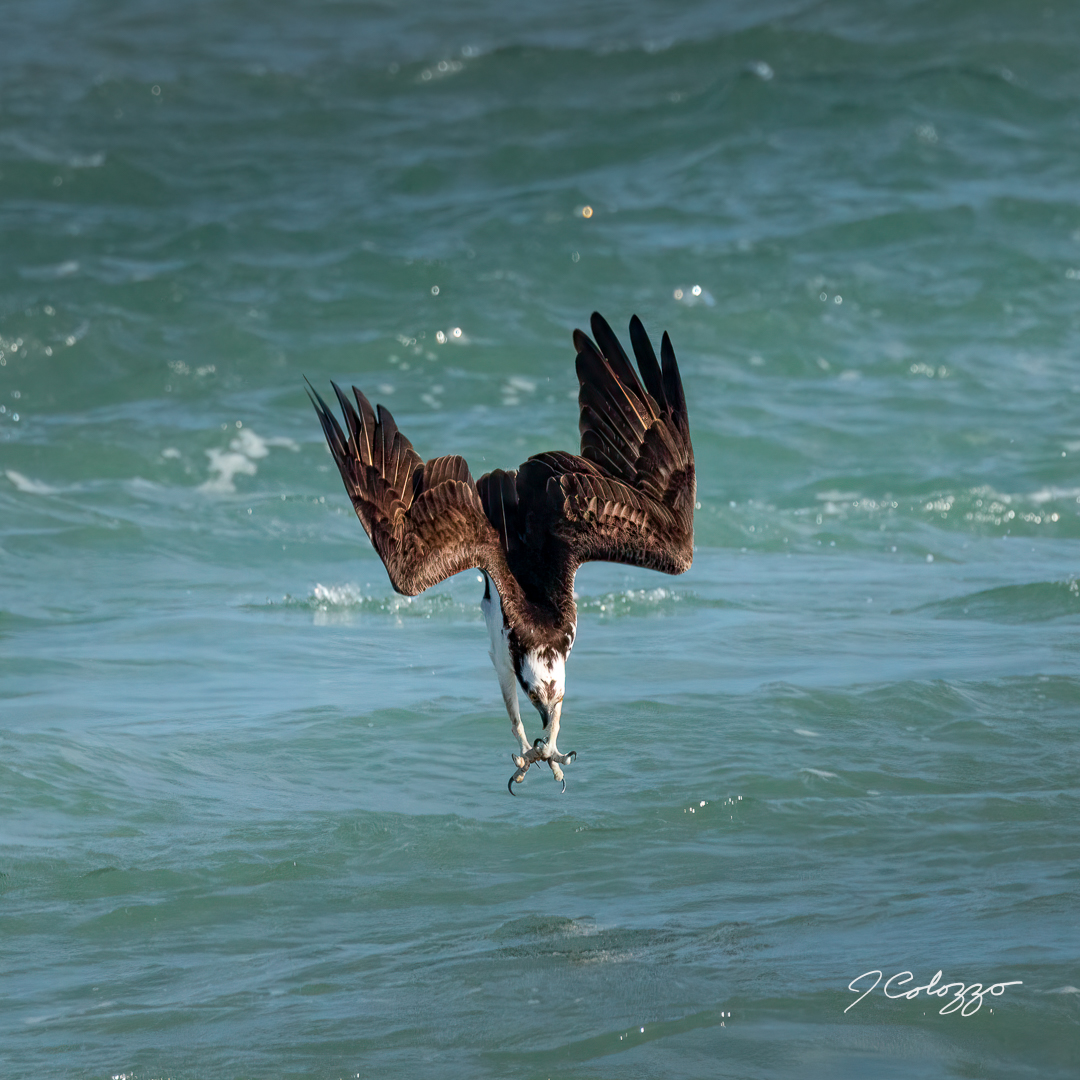 _P3A6861-Edit.jpg