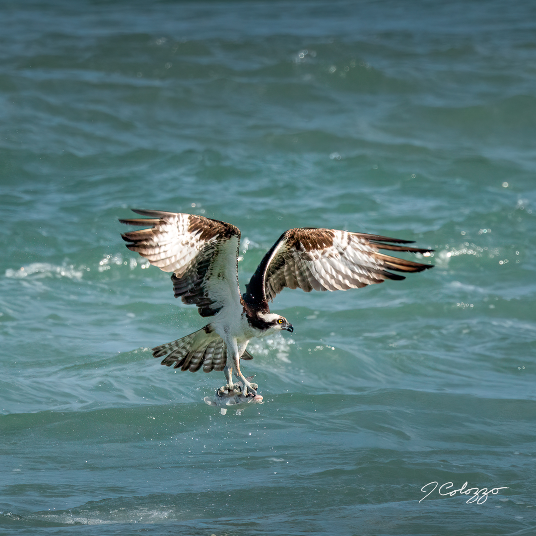 _P3A6880-Edit.jpg