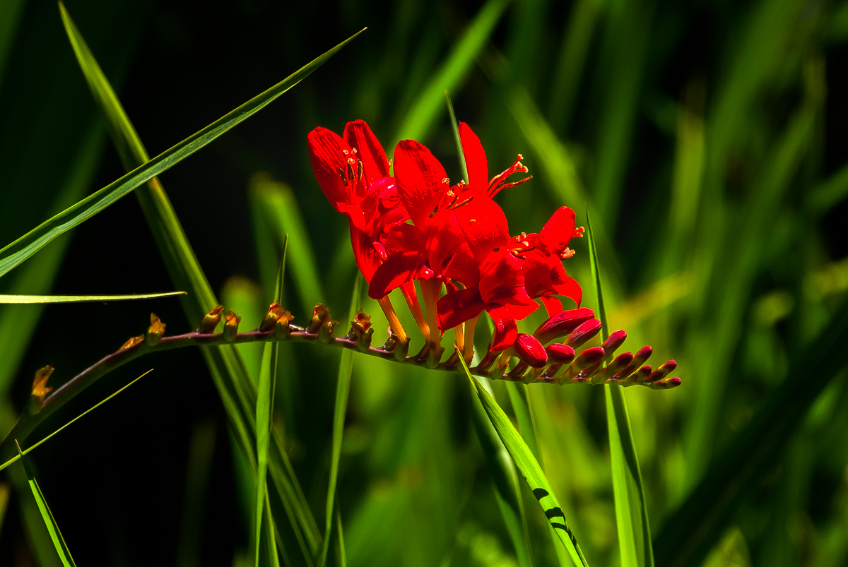 _TW04334.jpg