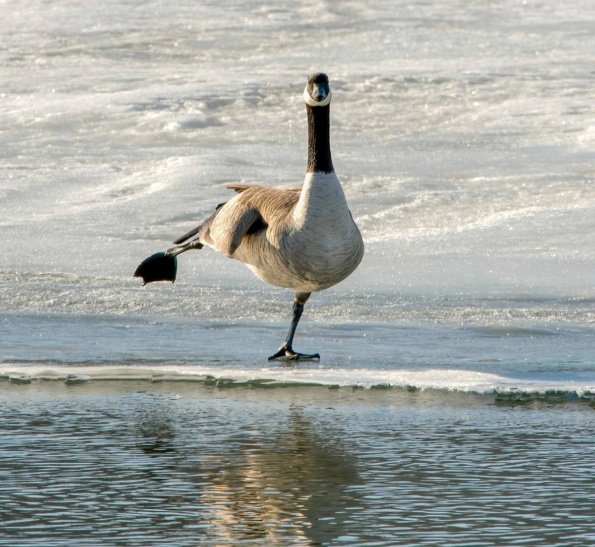 _TW10774-Edit-Edit.jpg
