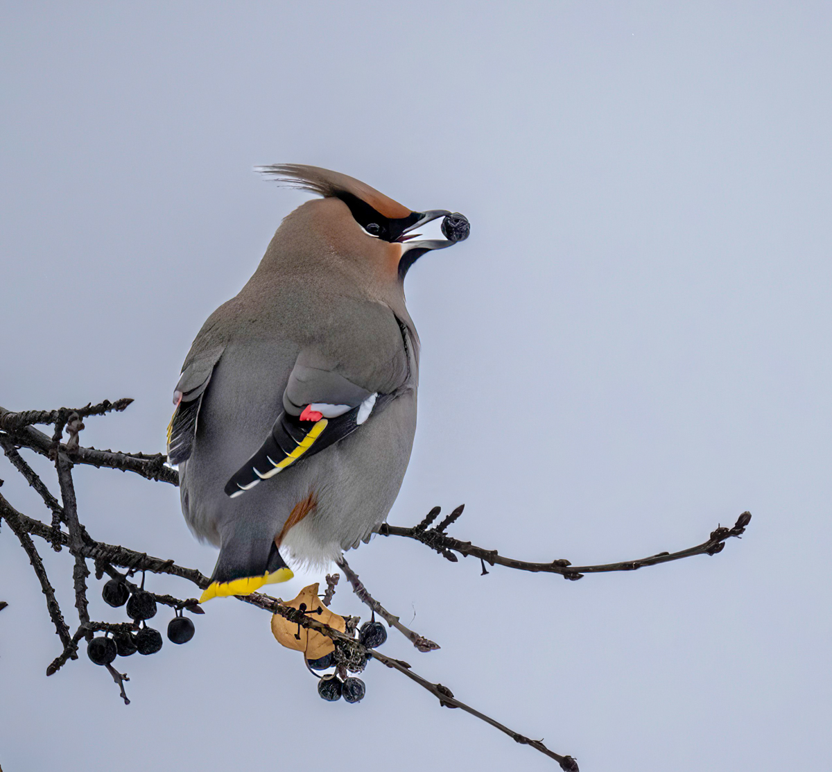 _TWX0404-Edit.jpg