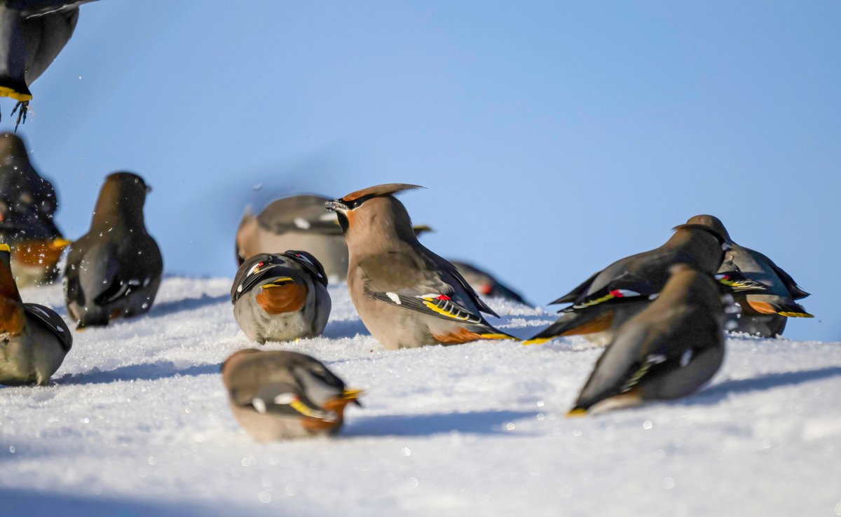 _TWX0784-Edit.jpg