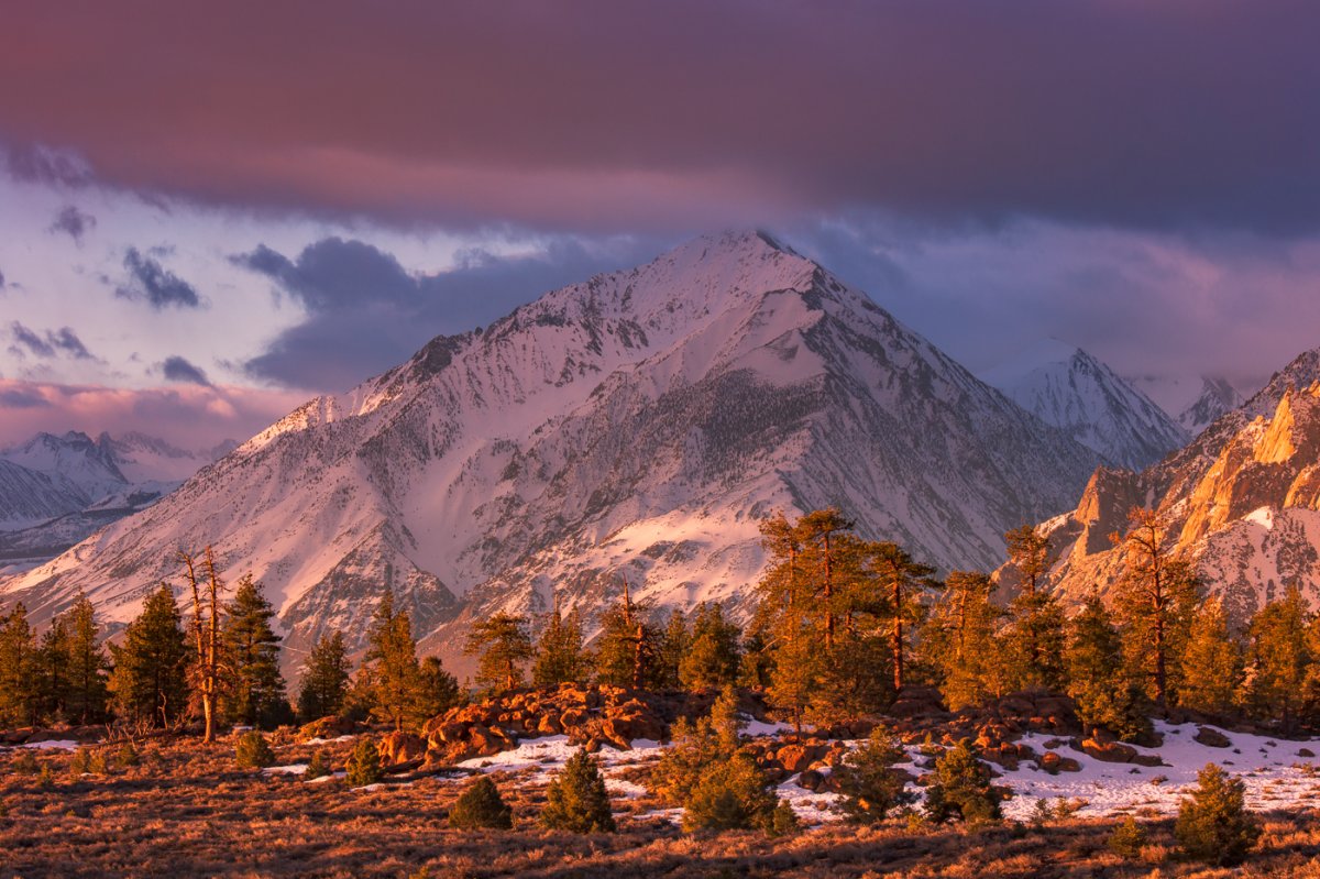 _U1A8354-Edit-2.jpg