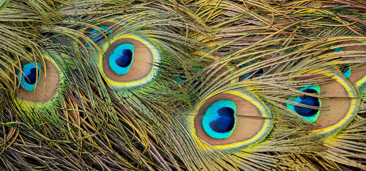 _WT11029-Edit.jpg