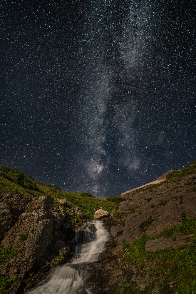 _Z623730_dw.jpg