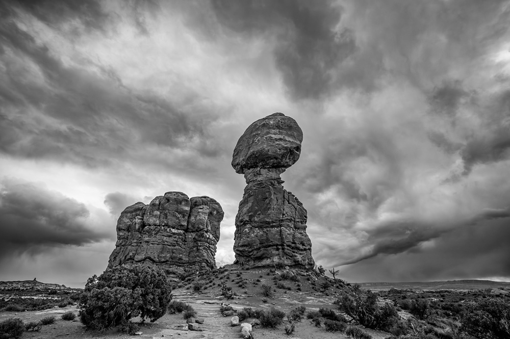 _Z626147_BW_dw.jpg