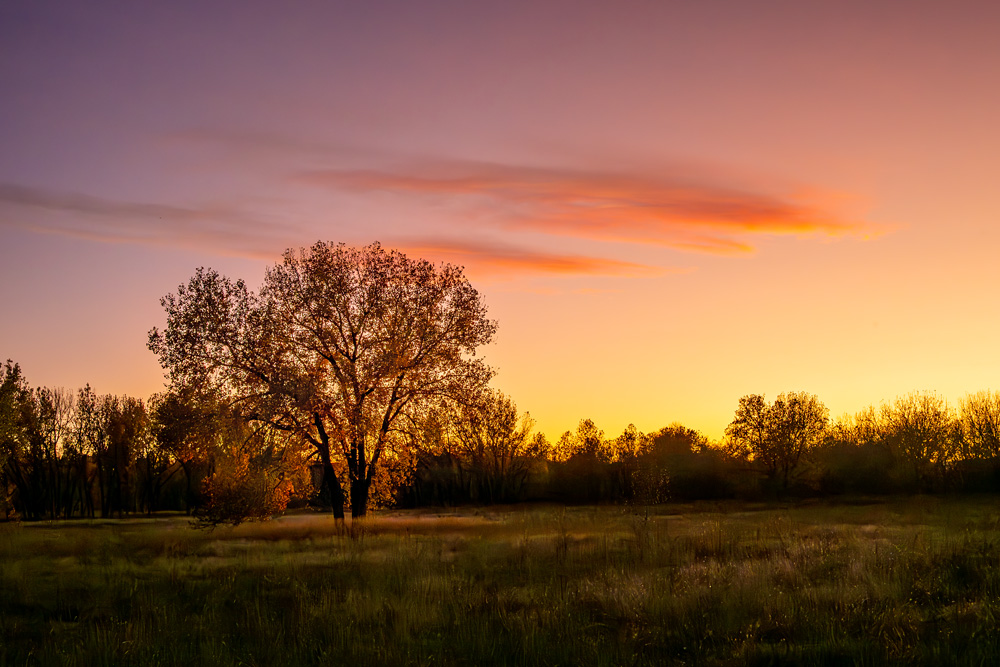 _Z630858_dw.jpg