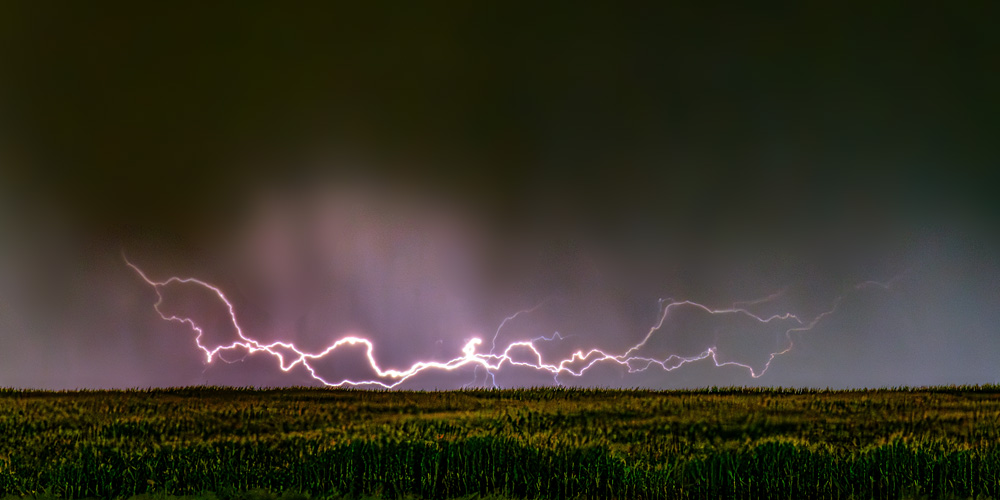 _Z632088_9x12_dw.jpg