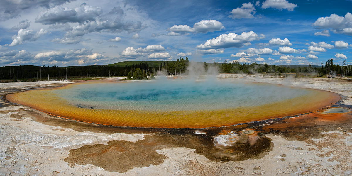 _Z634399to02_24x12_dw.jpg