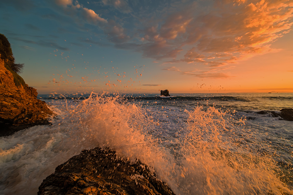 _Z635696_dw.jpg