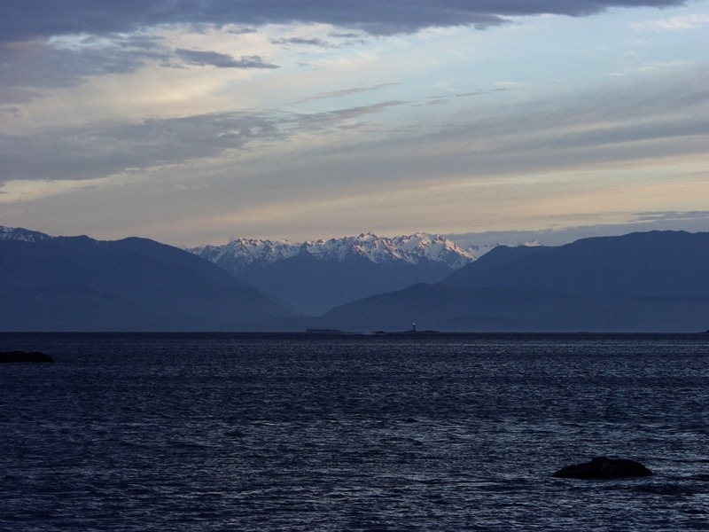 a1 1 olys oly light .jpg