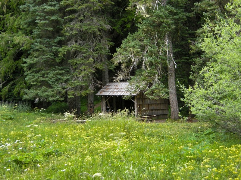 a1 11 olys Olys17-lr-web-45 .jpg