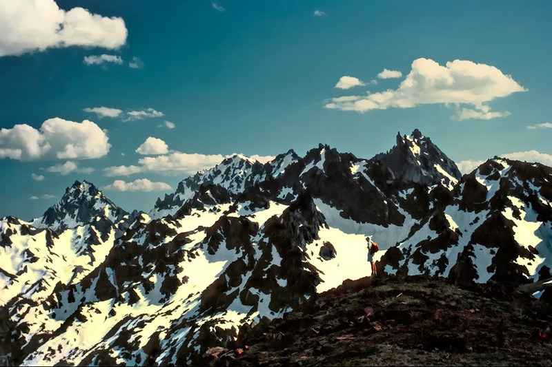 a1 13 olys Jan-Needles-WEB .jpg