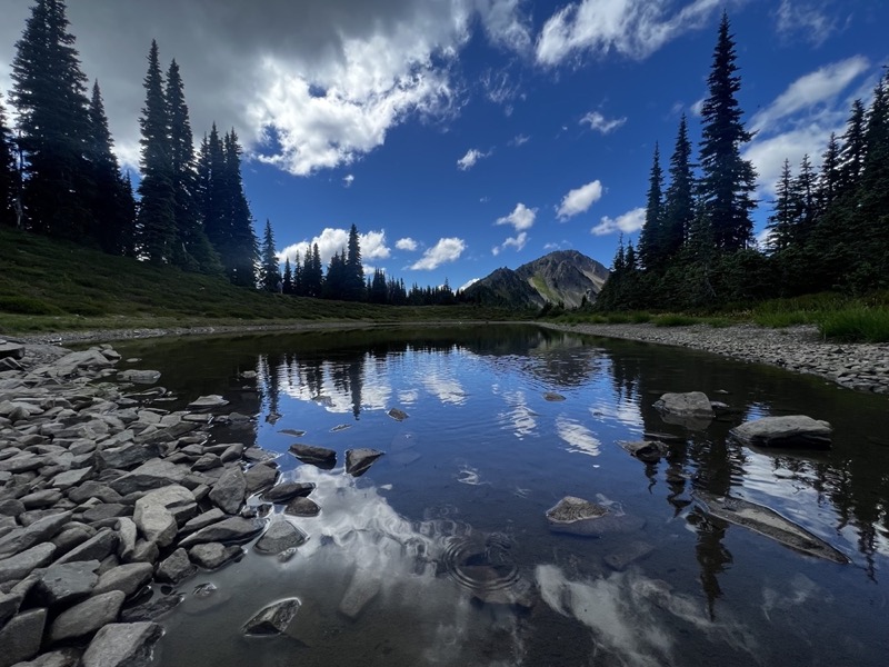 a1 14 olys Olys23-13-IMG_6669 .jpg