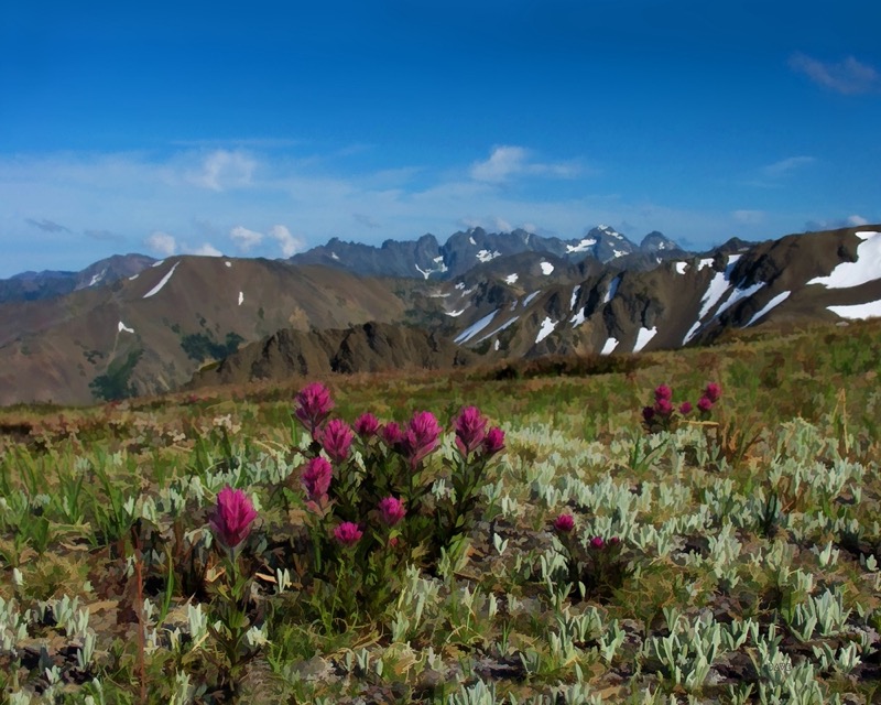 a1 4A olys Oly-obPt-face-16x20 .jpg