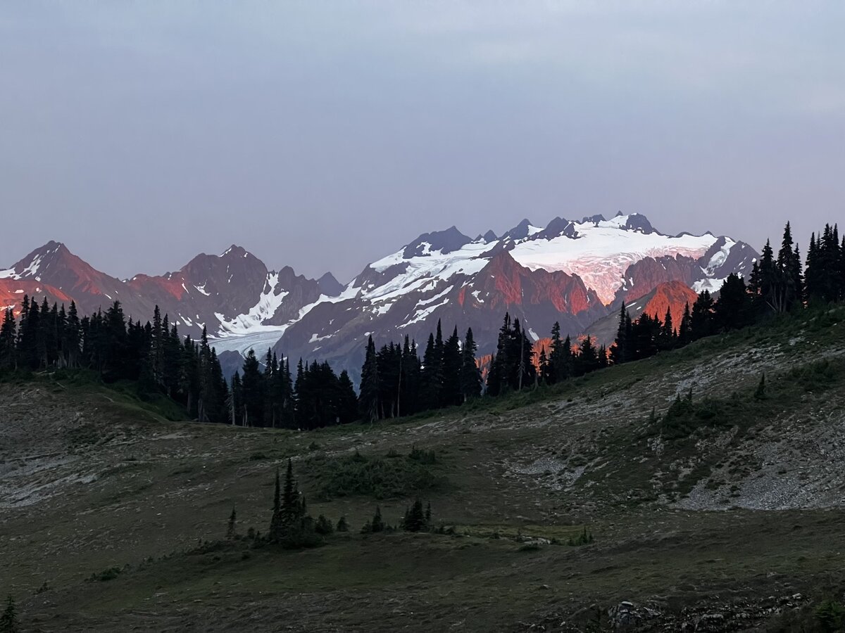 a1 olys Olys23-86-IMG_7374 .jpg