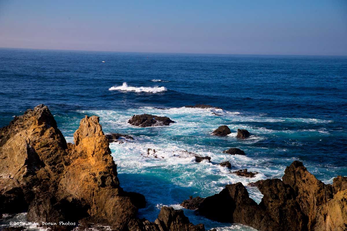 AB95F083-0E26-43D9-804D-C430A5E08C2D.jpeg